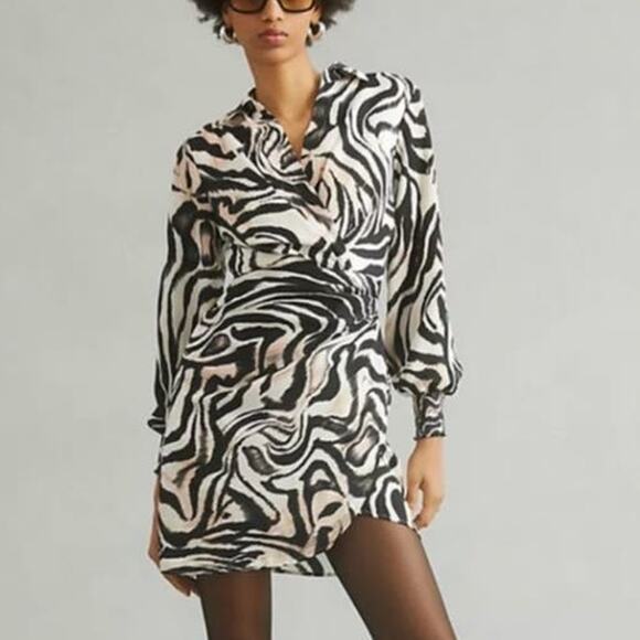Anthropologie Black and White Zebra Print Dress - Picture 1 of 13